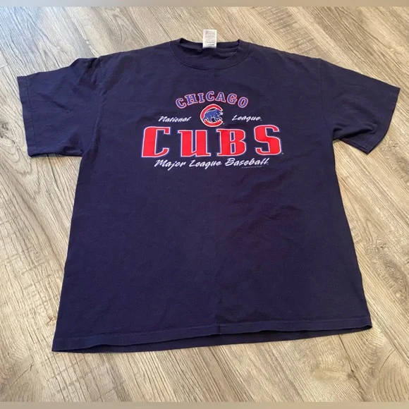 Vintage 2004 CHICAGO CUBS WRIGLEY FIELD T-Shirt Blue Red Size Large - Picture 1 of 6